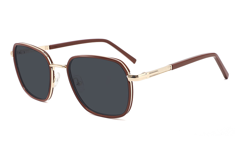 Acetate Metal Sunglasses-FG1073T