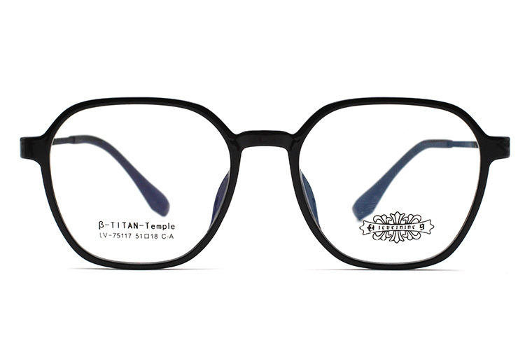 Wholesale Tr90 Glasses Frame 75117