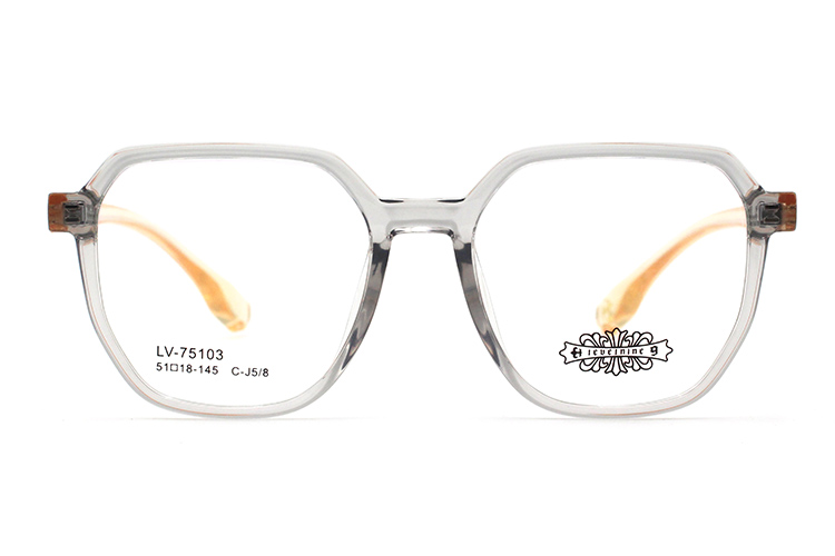 Wholesale Tr90 Glasses Frame 75103