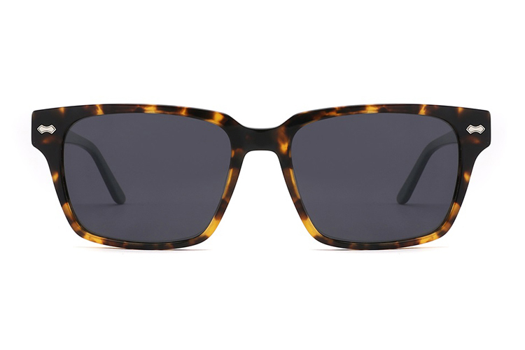Acetate Sunglasses-FG1561T