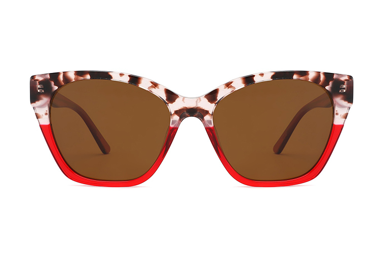 Acetate Sunglasses-FG1361T
