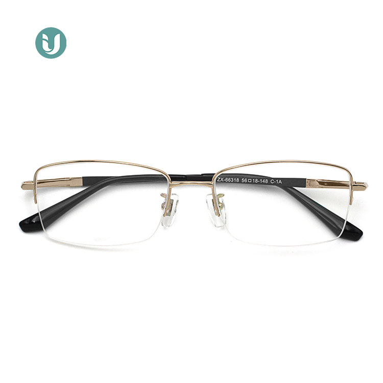 Wholesale Titanium Glasses Frames 66318