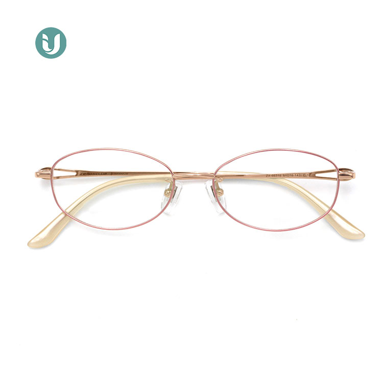 Wholesale Titanium Glasses Frames 66316