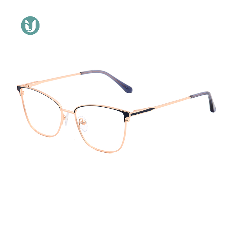 New Stylish Spectacles Frame