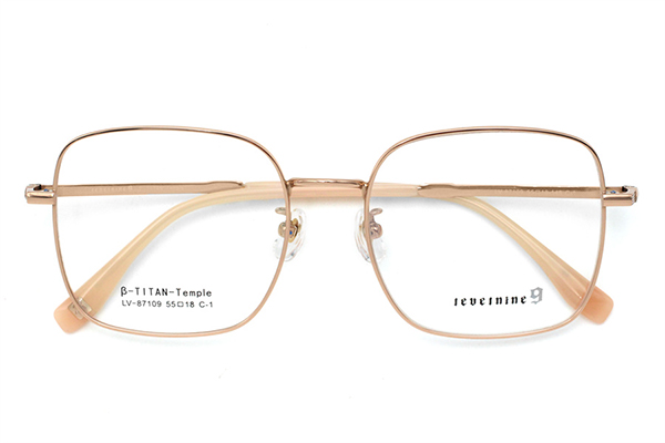 Glasses Frame Titanium 87109