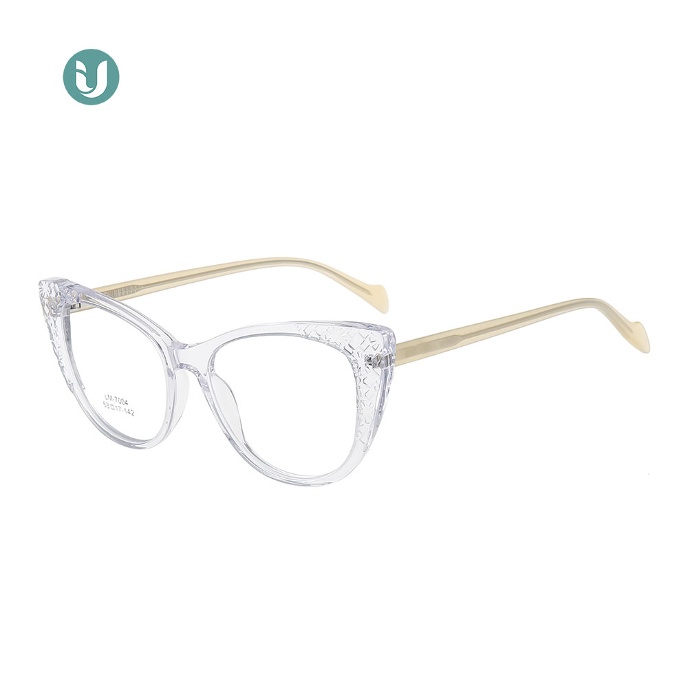Wholesale Acetate Glasses Frames LM7004
