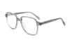 Acetate Thick Rimmed Spectacles FG1245