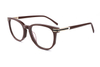Classic Acetate Spectacle Frames FG1237