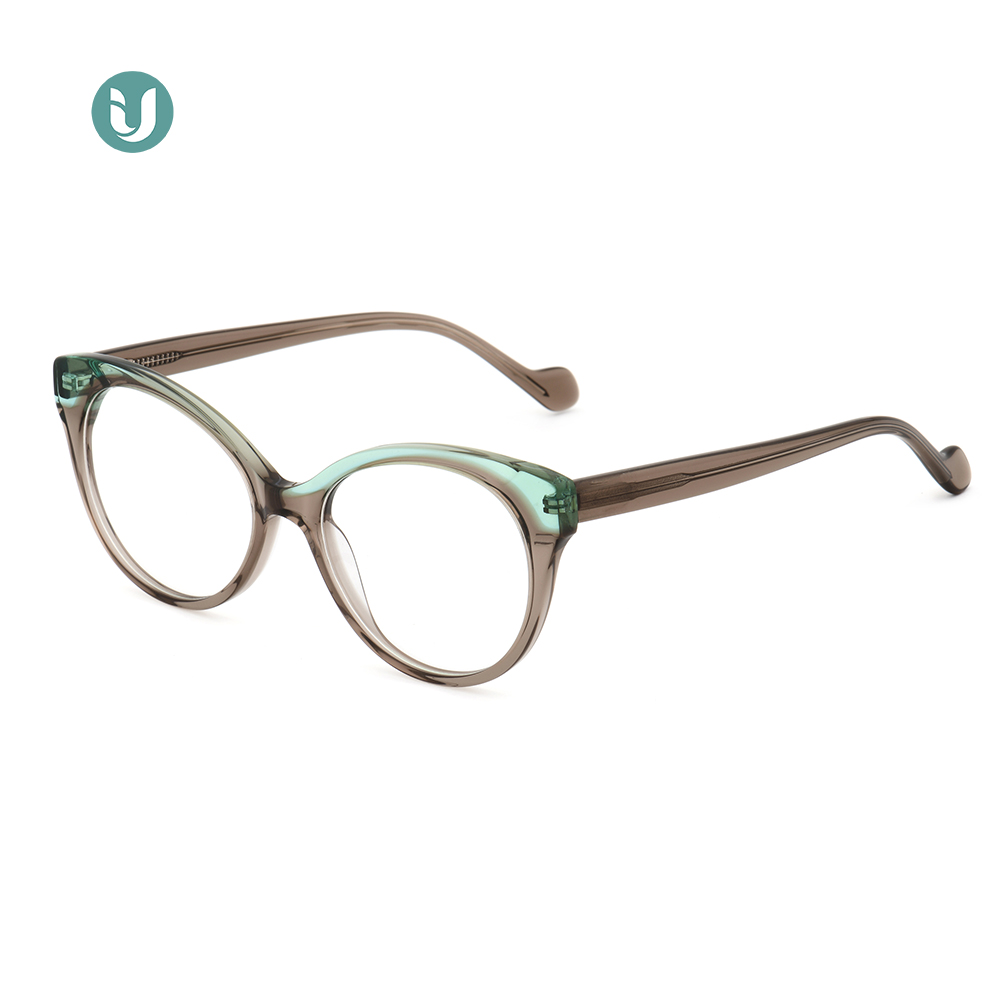 Wholesale Acetate Glasses Frames WXA21050