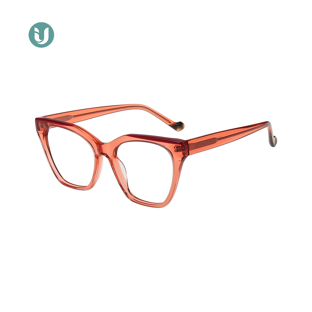 Wholesale Acetate Glasses Frames LM6008